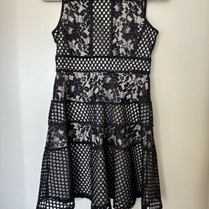 Blush Black Lace & Mesh Layered Party Dress